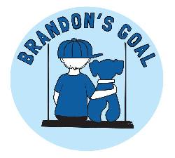http://brandonsgoal.org/graphicx/Brandon%27s%20Goal-TN.jpg